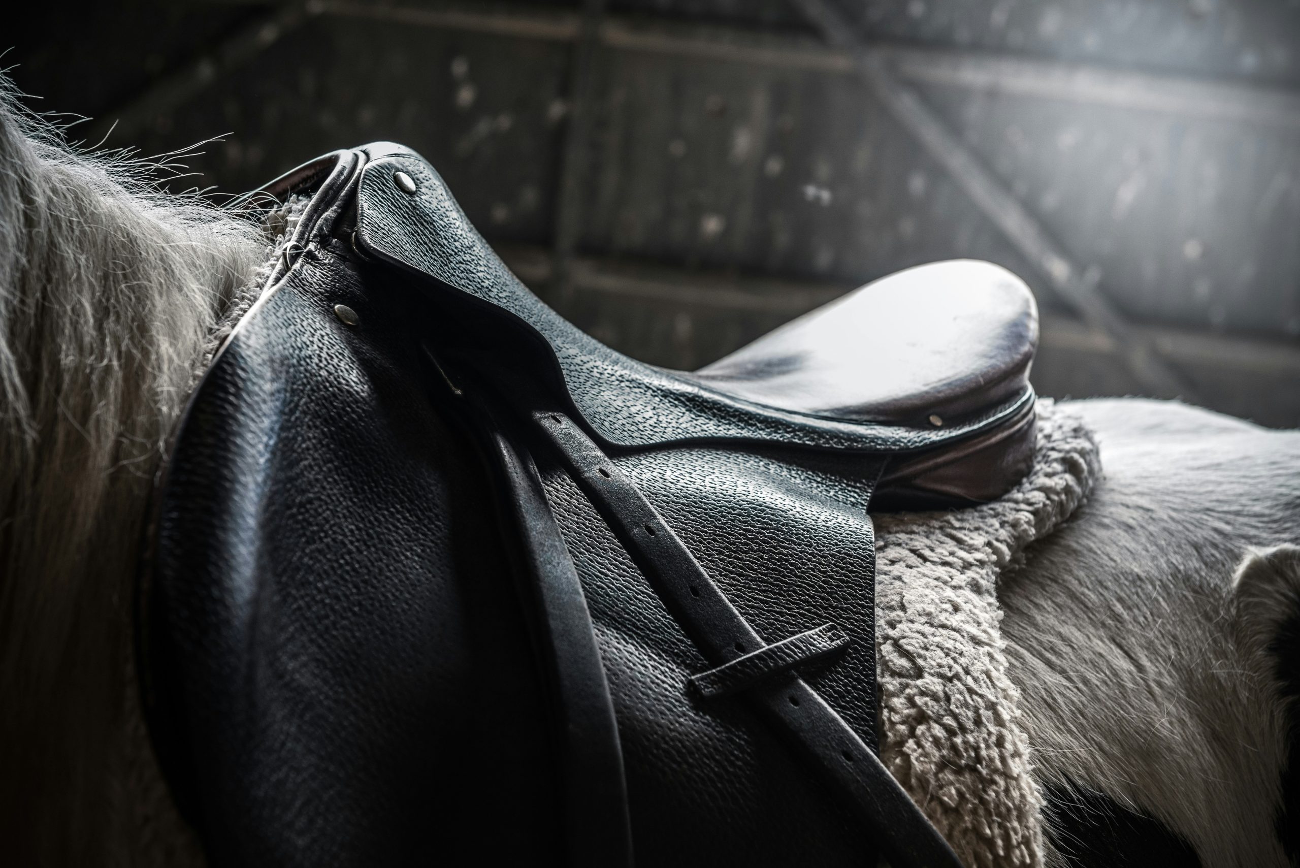 Compact waterproof jacket, foldable umbrella, and dry bag laid out neatly